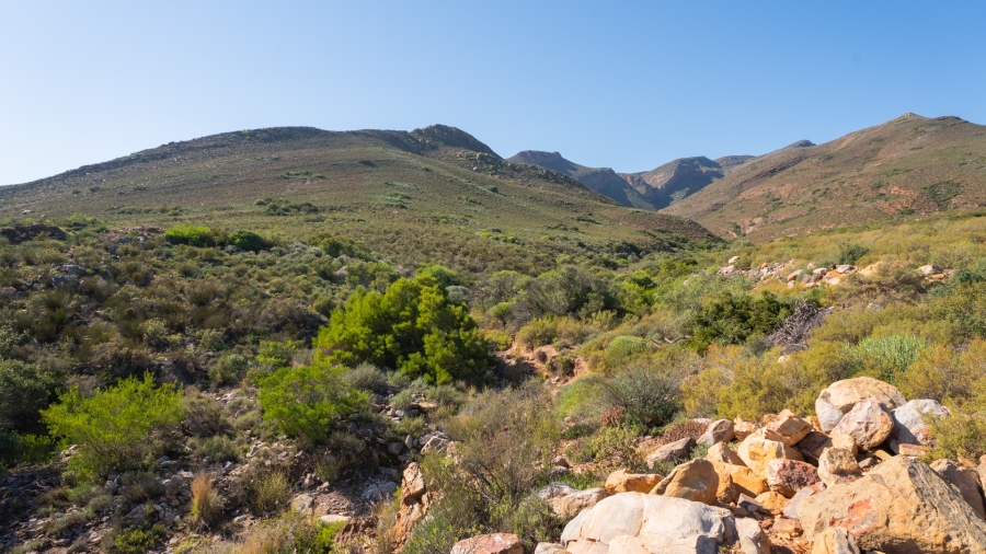 11 Bedroom Property for Sale in Robertson Western Cape